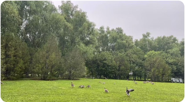 1751183910865049628.jpg 1.jpg