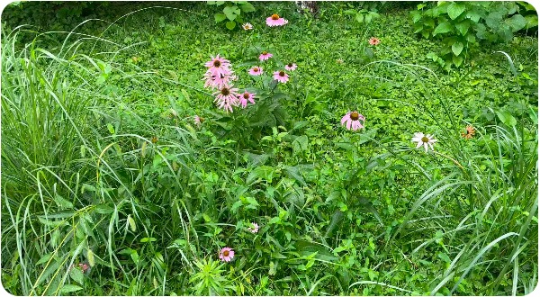 1757429372355030060.jpg 3.jpg