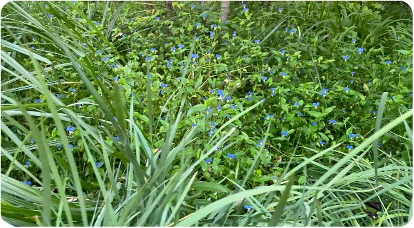 1757429398179077663.jpg 5.jpg