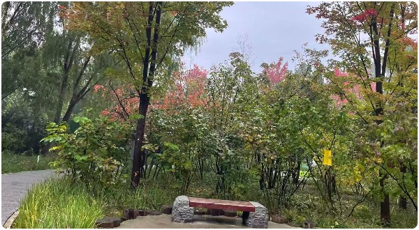 1761925940944065340.jpg 2.jpg