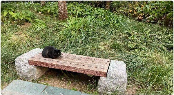 1761925989084071652.jpg 3.jpg