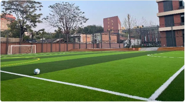 1761926022745084506.jpg 4.jpg