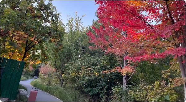 1761926149488039824.jpg 6.jpg